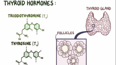 Hyperthyroidism treatment medications