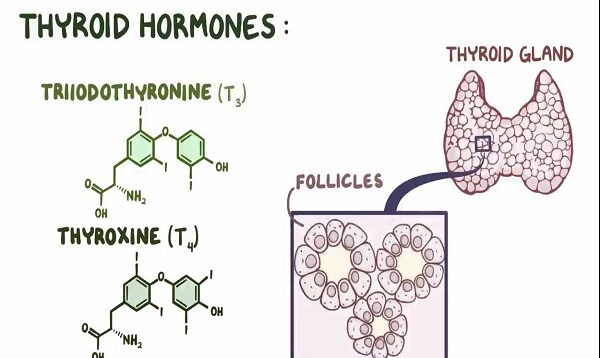 Hyperthyroidism treatment medications