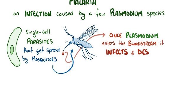 Malaria