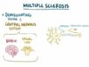 Multiple sclerosis – causes, symptoms, diagnosis, treatment, pathology