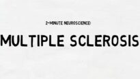 2 Minute Neuroscience Multiple Sclerosis