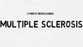 2 Minute Neuroscience Multiple Sclerosis