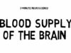 2Minute Neuroscience Blood Supply of the Brain