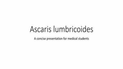 Ascaris lumbricoides – Parasitology