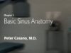 Basic Sinus Anatomy