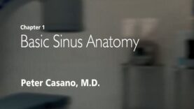 Basic Sinus Anatomy