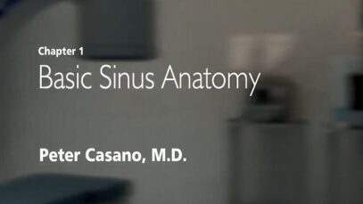 Basic Sinus Anatomy
