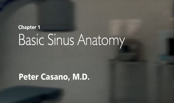 Basic Sinus Anatomy