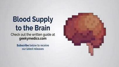 Blood Supply to the Brain 3D Anatomy Tutorial UKMLA CPS