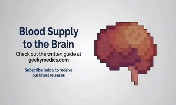 Blood Supply to the Brain 3D Anatomy Tutorial UKMLA CPS