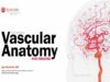Cerebral Vascular Anatomy And Imaging