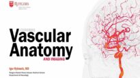 Cerebral Vascular Anatomy And Imaging