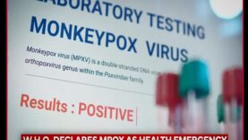 Monkeypox Virus 5 Things You Should Know About MonkeyPo