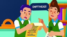 The Sinuses of The Nose