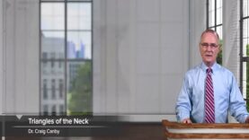 Triangles Subdivisions of the Neck – Head and Neck Anatomy