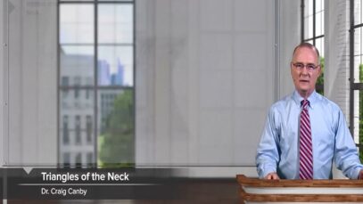 Triangles Subdivisions of the Neck – Head and Neck Anatomy