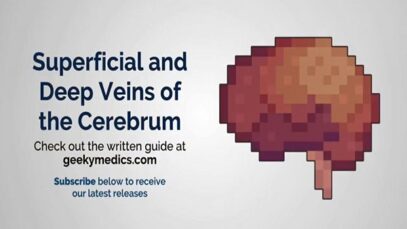 Venous Drainage of the Brai