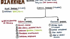 WHAT IS DIARRHEA Diarrhea Causes Organic vs Functional