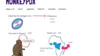 What is Monkeypox A quick overview