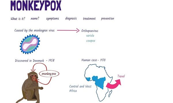 What is Monkeypox A quick overview