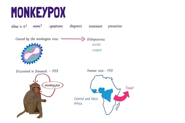 What is Monkeypox A quick overview
