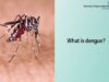 Dengue Fever – Understanding the symptoms, prevention, and effective treatment methods