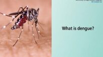 Dengue Fever – Understanding the symptoms, prevention, and effective treatment methods