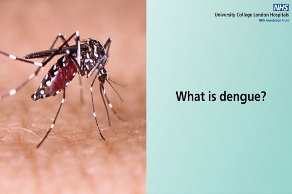 Dengue Fever – Understanding the symptoms, prevention, and effective treatment methods