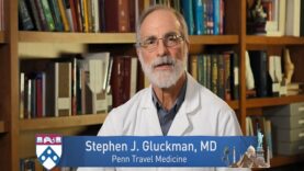 Dengue Fever and Mosquitos- How to Protect Yourself