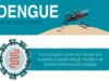 Dengue fever – Symptoms and causes