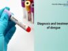 Diagnosis and treatment of dengue fever
