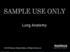 Lung Anatomy
