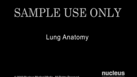 Lung Anatomy