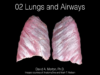 Lungs and Airways