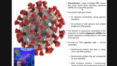 The Coronavirus Replication Cycle