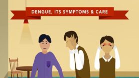 The Symptoms of Dengue
