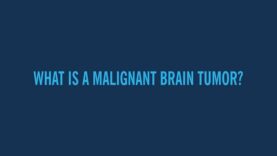 What Are Primary Malignant Brain Tumors