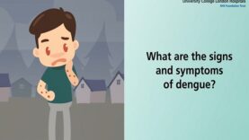 What are the signs and symptoms of dengue fever.