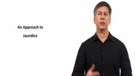 An Approach to Jaundice