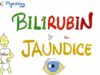 Bilirubin Metabolism Jaundice – Gastrointestinal (GI) Physiology Pathology- Physiology Series