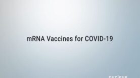 COVID 19 mRNA Vaccine Will It Change My DNA