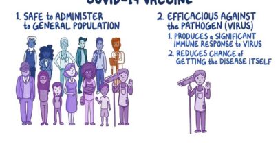 Development of the COVID 19 Vaccine