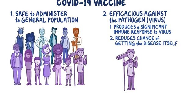 Development of the COVID 19 Vaccine