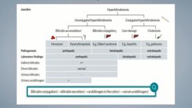 Jaundice_ Differential Diagnosis