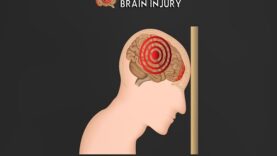 Overview of Traumatic Brain Injury TBI