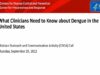 What Clinicians Need to Know about Dengue