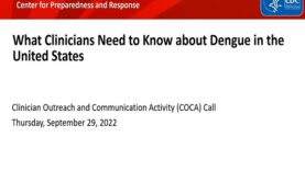 What Clinicians Need to Know about Dengue