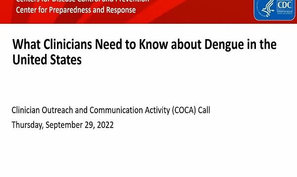 What Clinicians Need to Know about Dengue