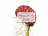 Basic Parts of the Brain
