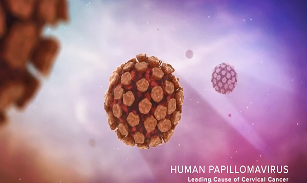 Cervical Disease and HPV